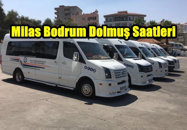Milas Bodrum Dolmuş Saatleri